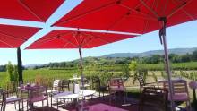 Terrasse de La Robe Rouge à Villié Morgon en plein cœur du Beaujolais