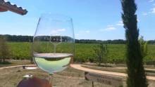 Un verre de vin en terrasse au restaurant la robe rouge Villié Morgon